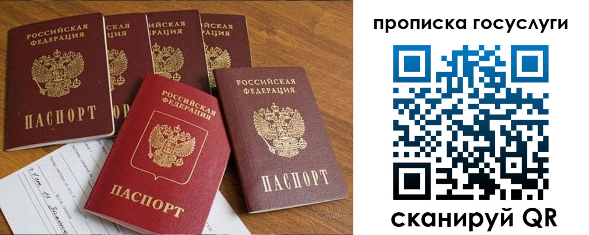 где прописаться в Ельце
